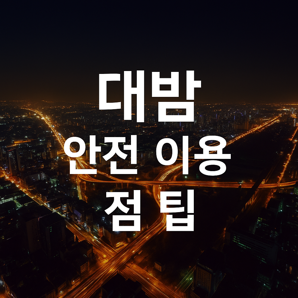 대밤안전이용